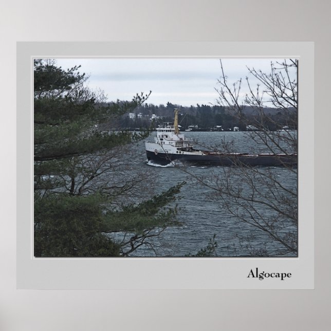 Poster Algocape (Devant)