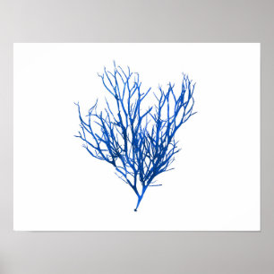 Poster Algue bleue #10 42x32 cm