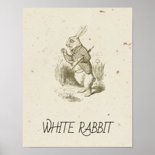 Poster Alice au pays des merveilles - LAPIN BLANC