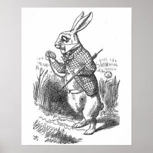 Poster Alice au pays des merveilles le cru blanc de lapin