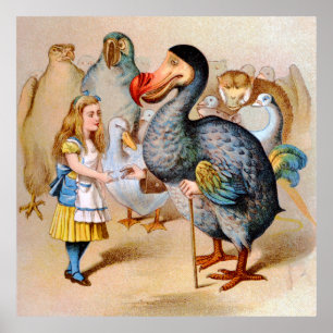 Poster Alice et Dodo Bird au pays des merveilles