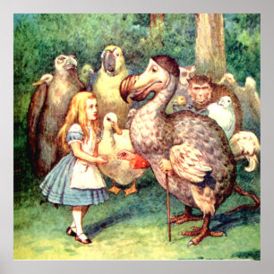 Poster Alice et Dodo Bird au pays des merveilles