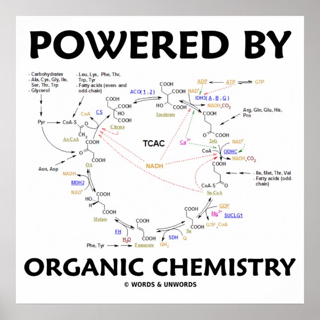Poster Alimenté Par Chimie Biologique Krebs Cycle Humour (Devant)