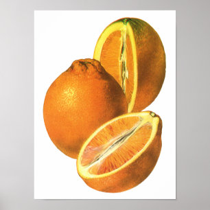 Poster Aliments Anciens, Oranges Fraîches Biologiques Sai