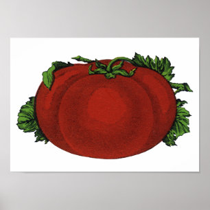 Poster Aliments Anciens, Tomate Mûre, Légumes et Fruits