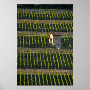 Poster Allemagne, Franconie, Wertheim. Colline spéciale 2