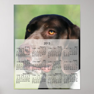 Poster Allemand Pointeur court chien 2013 calendrier impr