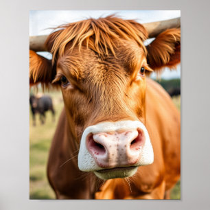 Poster Aller au Ranch Bovine Vache