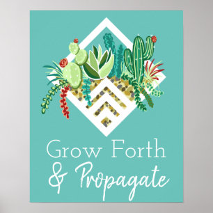 Poster Aller de l'avant et propager Terrarium Succulents