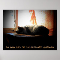 Allez Soleil - Chat Endormi