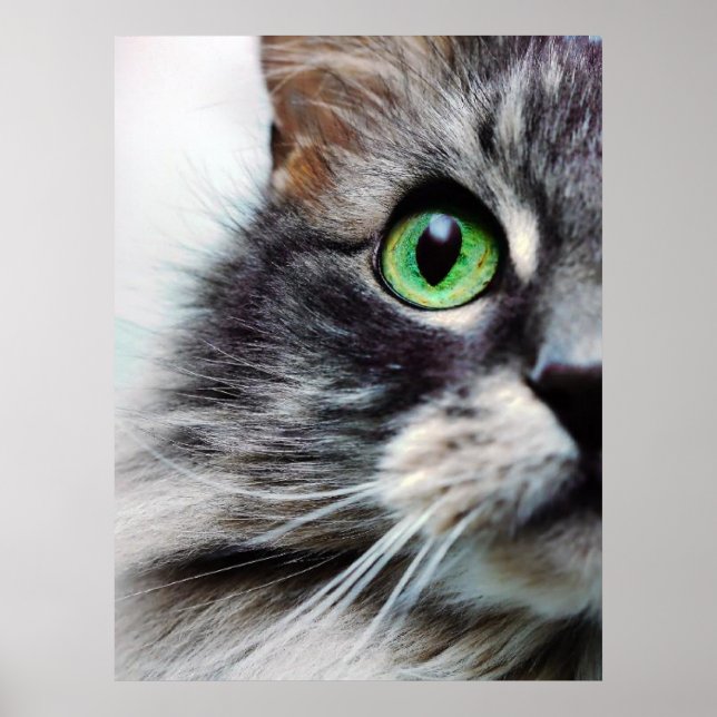 Poster Allie (demi-face) (Devant)