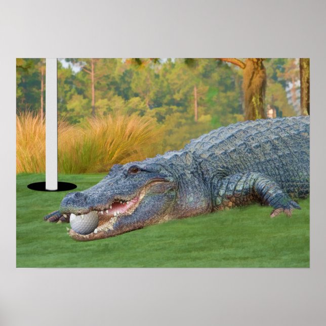Poster Alligator de golf à vie dangereux Imprimer (Devant)