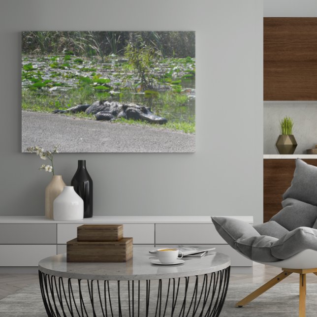 Poster Alligator sur Alligator Alley, Fl (Créateur téléchargé)