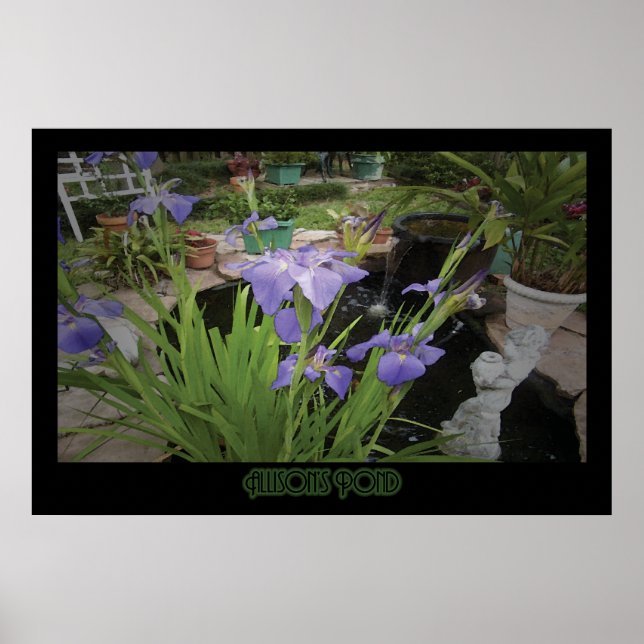 Poster "Allison's Pond" - Imprimer (Devant)