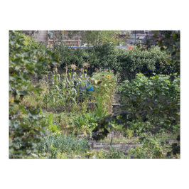 Poster Allocations au pont Hebden