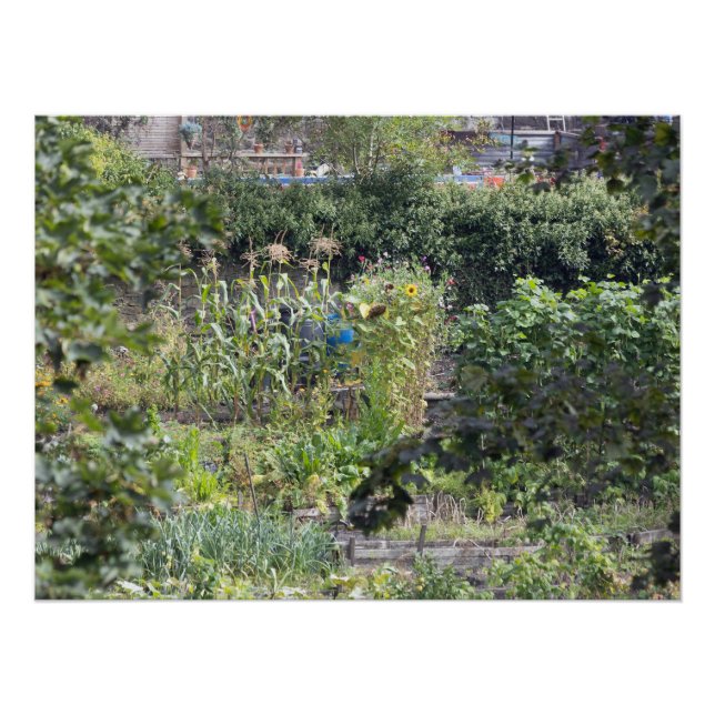 Poster Allocations au pont Hebden (Devant)