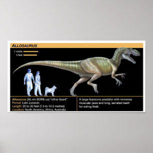 Poster Allosaurus - Biologie Jurassique