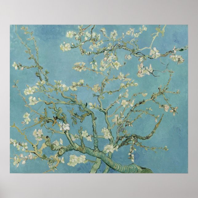 Poster Almond Blossom : Vincent Van Gogh (Devant)
