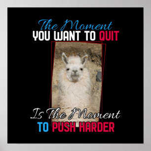 Poster Alpaca Llama - Push Harder Encouragement