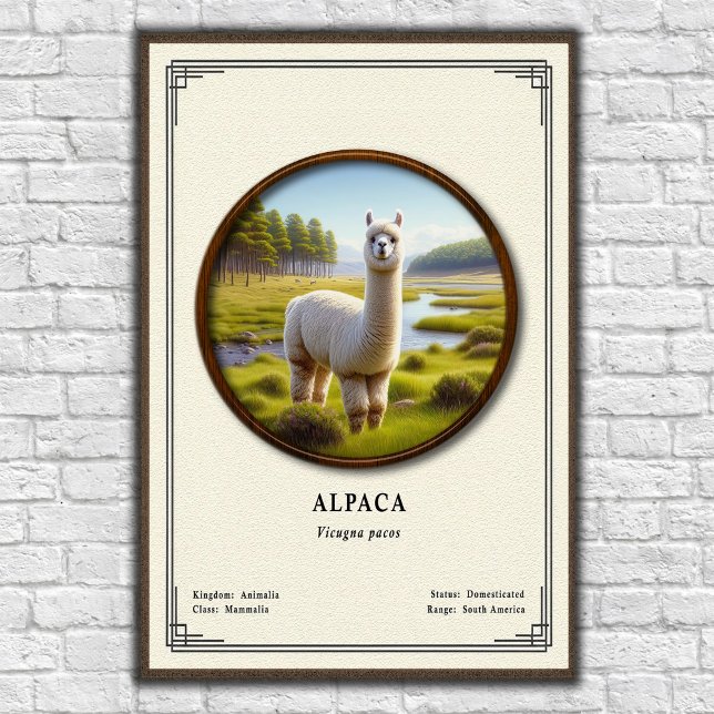 Poster Alpaca Zoology Series (Créateur téléchargé)