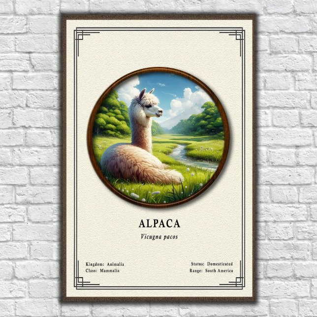 Poster Alpaca Zoology Series (Créateur téléchargé)