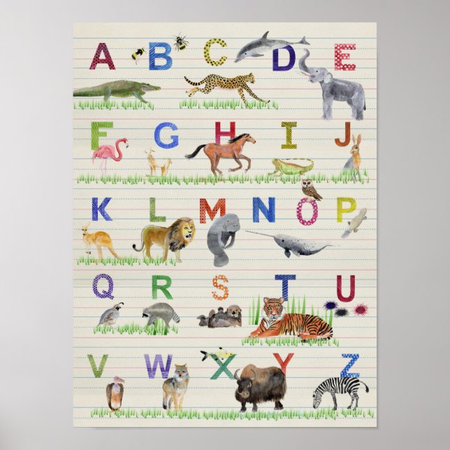 Poster Alphabet Animaux (Devant)