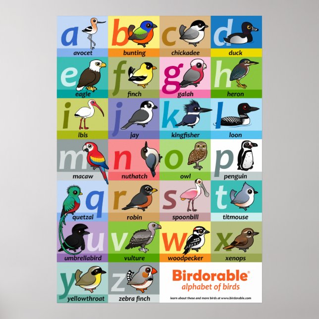 Poster Alphabet Birdable des oiseaux (Devant)