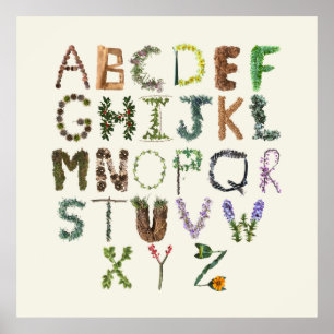 Poster Alphabet botanique - Nature ABC phonétique