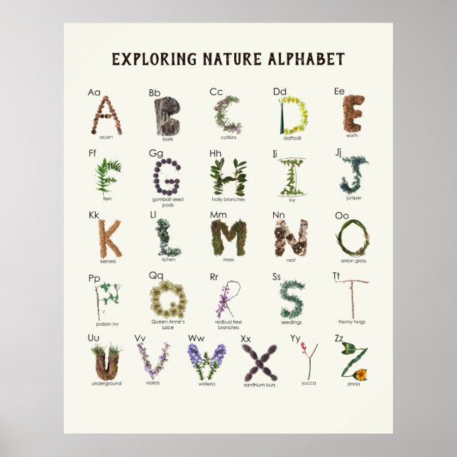 Poster Alphabet de découverte de la nature | Pépinière AB (Devant)