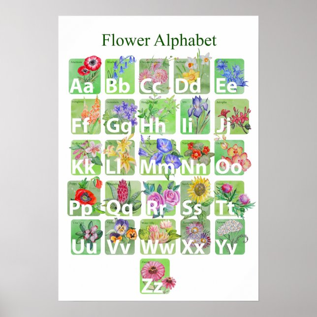 Poster Alphabet de fleurs (Devant)
