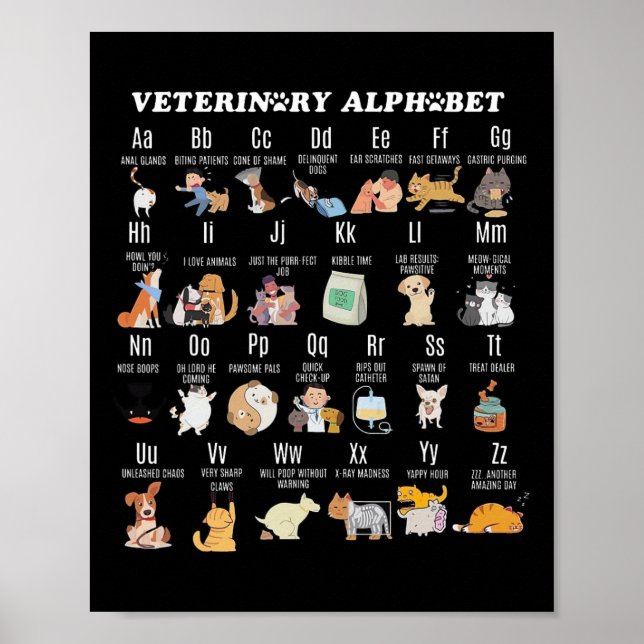 Poster Alphabet de médecine vétérinaire Vet Nurse Student (Devant)