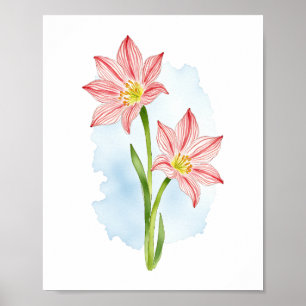 Poster Amaryllis Fleur Aquarelle