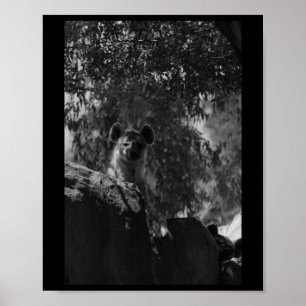 Poster Amateurs de la nature Noir et Blanc Amateurs de Hy