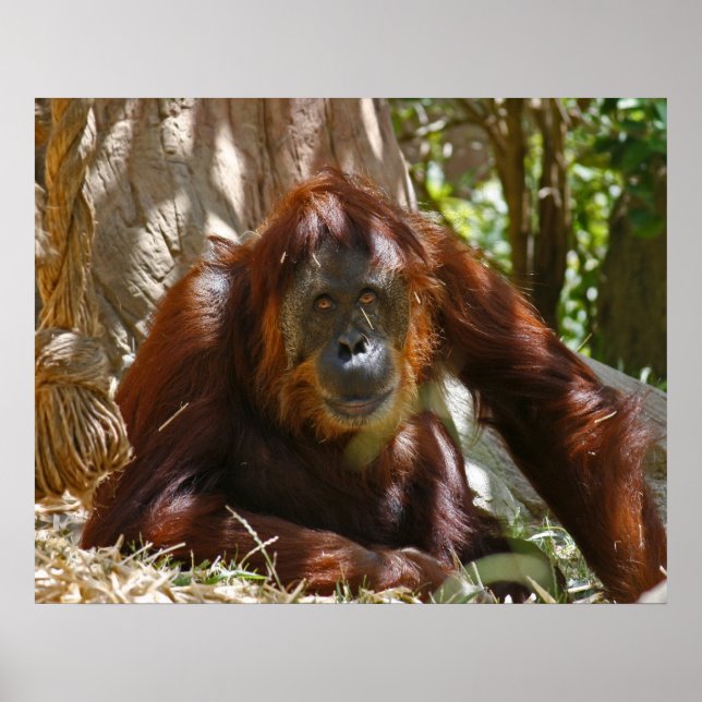 Poster "Âme" (Devant)