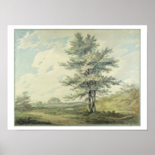 Poster Aménagez en parc avec les arbres et les figures,
