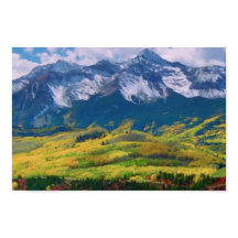 America Tree Line Parc national olympique