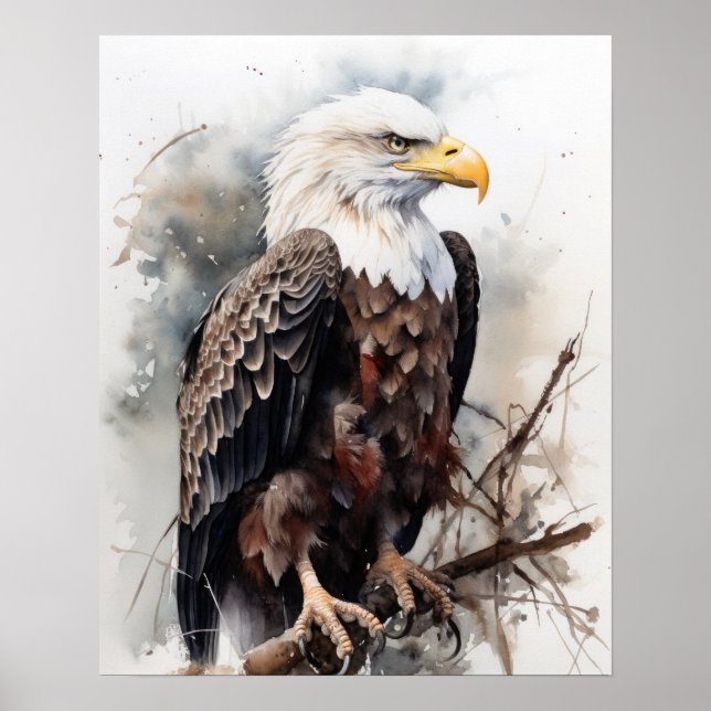 Poster American Bald Eagle Bird Art Imprimer l'affiche (Devant)