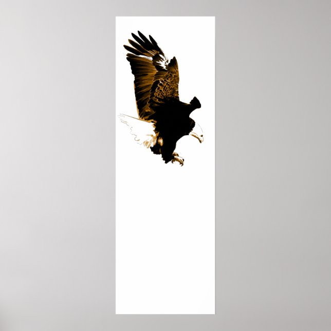 Poster American Bald Eagle Landing (Devant)