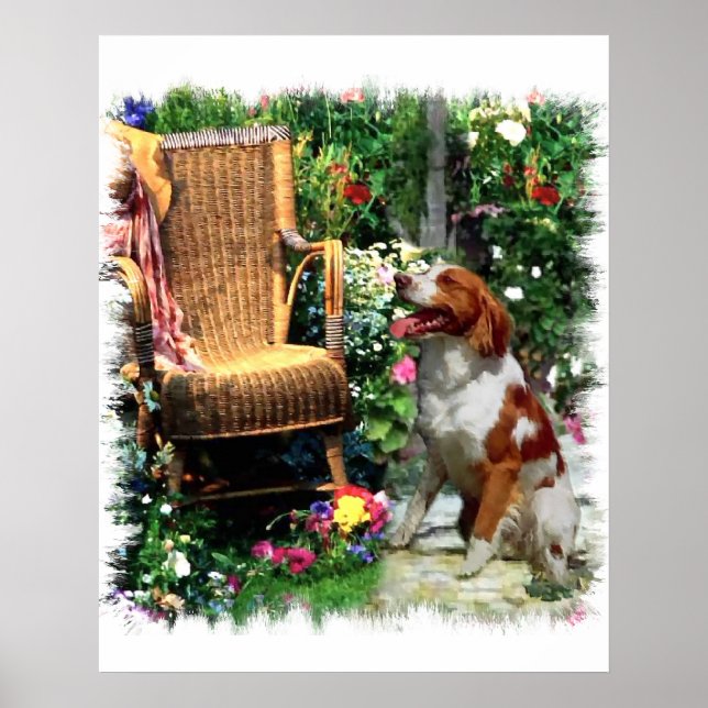 Poster American Brittany Spaniel Art Imprimer (Devant)
