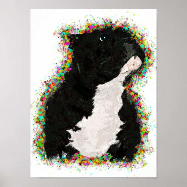 Poster American Bully Colorée Pop Art (Devant)