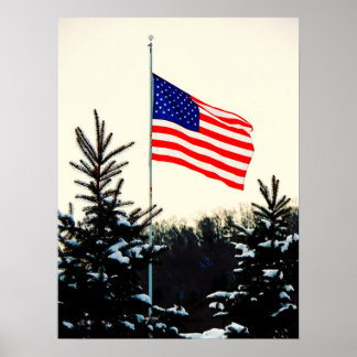 Poster American Flag in Snow