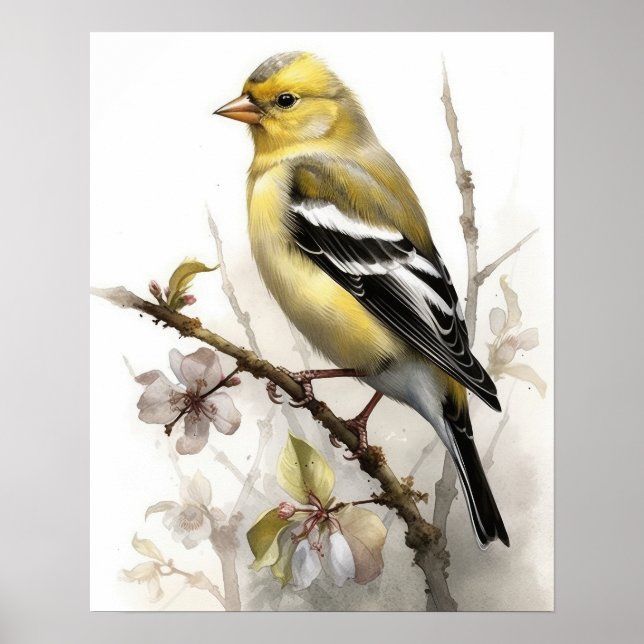 Poster American Goldfinch Bird Art Imprimer l'affiche (Devant)