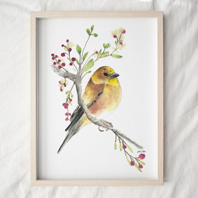 Poster American Goldfinch Bird Watercolor Art Imprimer (Créateur téléchargé)