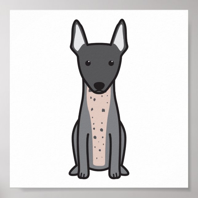 Poster American Hairless Terrier (Devant)