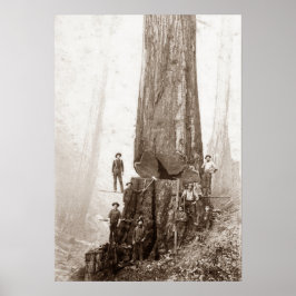 Poster American Loggers Circa 1880