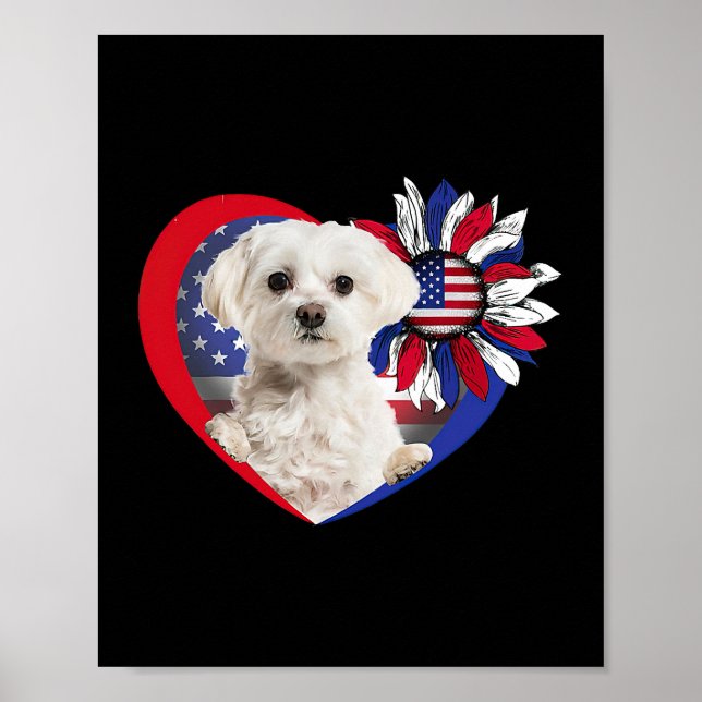 Poster American Maltese Chien Heart 4 juillet USA Drapeau (Devant)