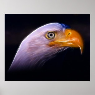 Poster American Patriotic Bald Eagle, National Symbol