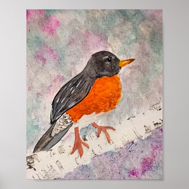 Poster American Robin  (Devant)