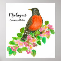 American Robin Apple Blossom Michigan