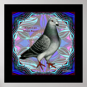 Poster American Show Racer